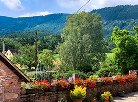 alsace gite