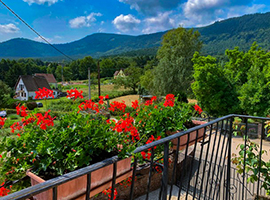 hitzelbach floralies